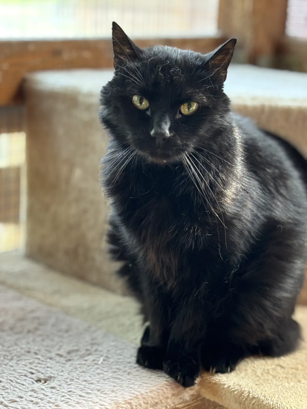 Krümel